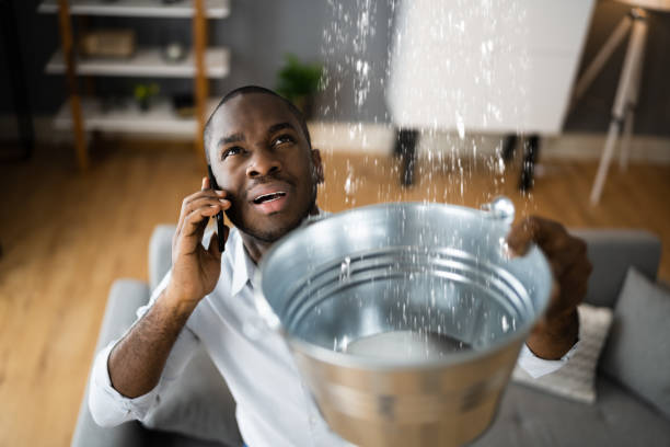 Trusted Wynne, AR Water damage restoration Experts