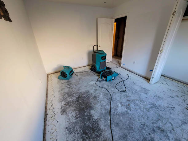 Best Ceiling water damage repair  in Wynne, AR