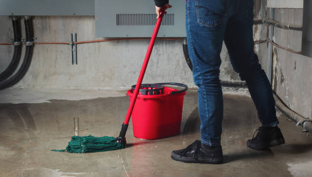 Best Water damage restoration services  in Wynne, AR