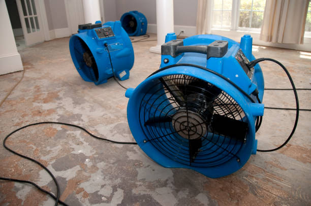 Best Water damage restoration insurance claims  in Wynne, AR