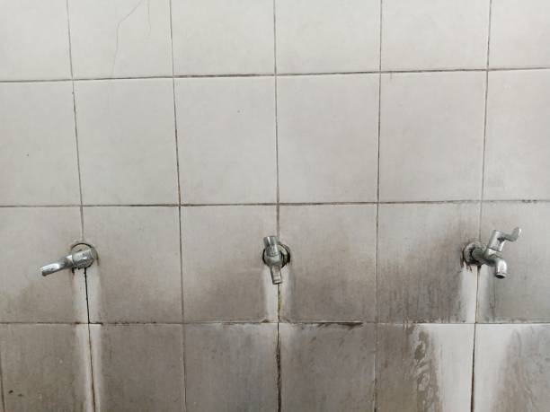 Best Professional water damage repair  in Wynne, AR