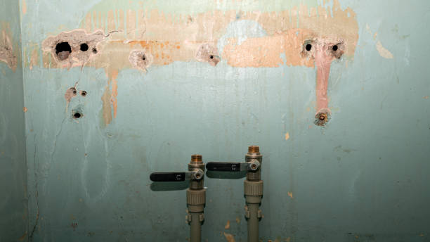 Best Water damage cleanup near me  in Wynne, AR