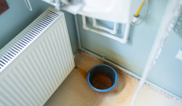 Best Water damage restoration near me  in Wynne, AR