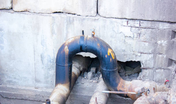 Best Local water damage restoration  in Wynne, AR