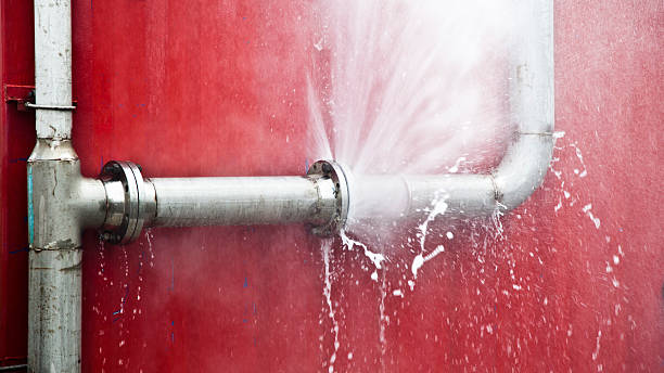 Best Flood damage cleanup  in Wynne, AR