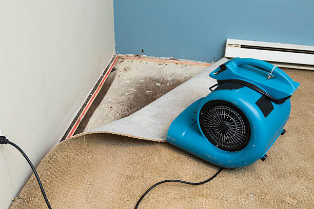 Best Commercial water damage restoration  in Wynne, AR